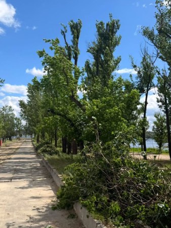 Новини Харкова: благоустрій на Основ’янському озері